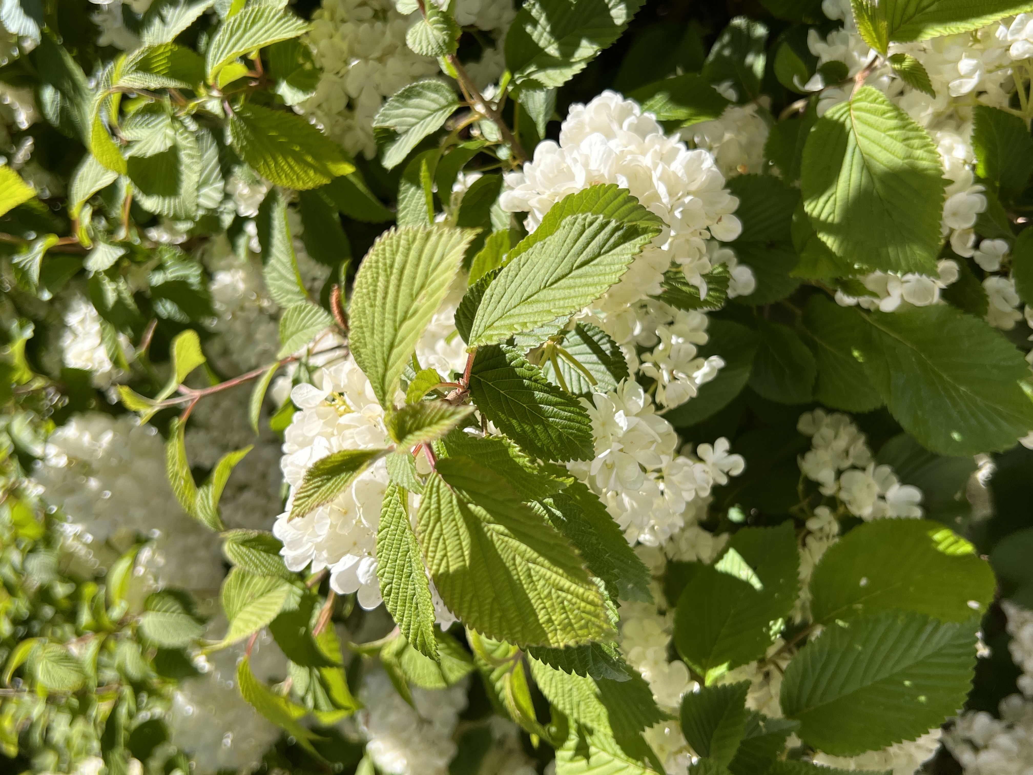 ./2023/05 - Toni Adventures/IMG_3101.JPG